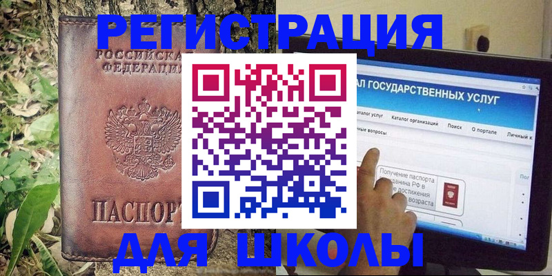 прописка для школы в Железногорске